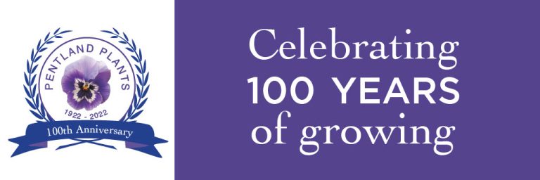Celebrating 100 years of growing