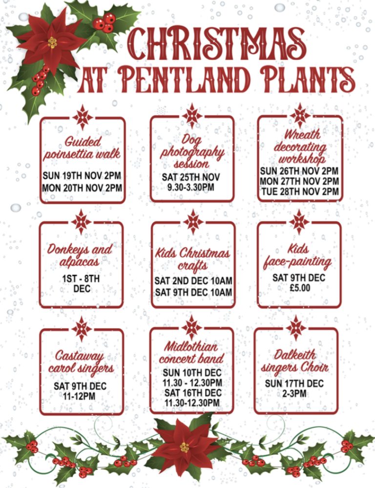 Pentland Plants Christmas Events