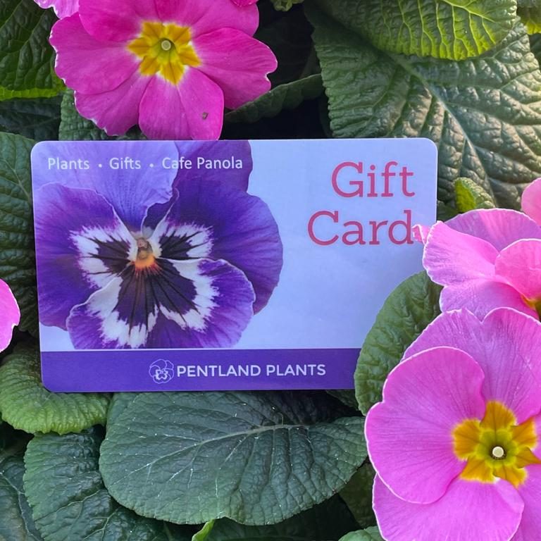 Pentland Plants Gift Cards